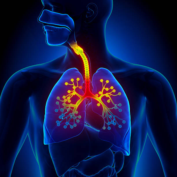 Homeopathy for bronchitis